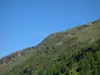 von Unterstandshütte zum Gipfel Gabesitten Blick auf das Gipfelkreuz am Gabesittenhang