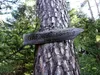 entlang Garnisonssteig