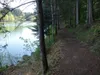 entlang des Seeufers Tristacher See