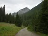 durch das Winkler Tal hinten rechts die Gatterspitze