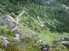 vom Talschluss Winkler Tal hoch zum Obstanser Boden Blick zurück