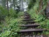 vom Talschluss Winkler Tal hoch zum Obstanser Boden