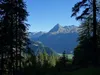 vom Parkplatz Guggenberg Richtung Zunigalm hinten Mitte der Nussingkogel
