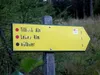 Aufstieg Richtung Tilliachalm