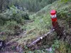 Aufstieg Richtung Tilliachalm