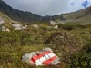 von der Tilliachalm Aufstieg zum Gumriaul