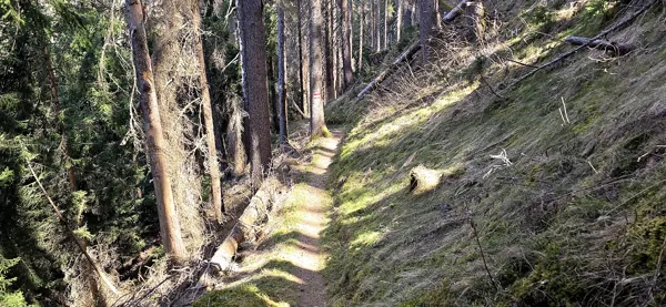 Abstieg über den Helenensteig