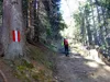 Aufstieg Richtung Wodenalm