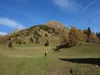 Aufstieg von der Wodenalm zum Hintereggkogel bei den Zedlacher Wiesen