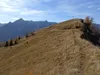 Aufstieg von der Wodenalm zum Hintereggkogel beim Planlissbichl