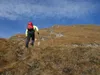 Aufstieg von der Wodenalm zum Hintereggkogel