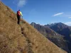 Aufstieg von der Wodenalm zum Hintereggkogel