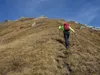 Aufstieg von der Wodenalm zum Hintereggkogel
