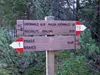 durch das Grünwaldtal zur Hochalmhütte