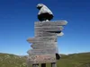 von der Hochalmhütte Aufstieg zum Maurerkopf