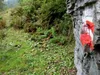 Aufstieg zum Gipfel Hochspitz
