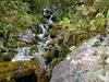 Aufstieg zum Gipfel Hochspitz