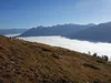 von der Lackneralm Richtung Gipfel Hohe Nase Blick Richtung Osten