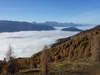 von der Lackneralm Richtung Gipfel Hohe Nase Blick zurück hinten die Lienzer Dolomiten