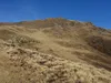 von der Lackneralm Richtung Gipfel Hohe Nase in der Bildmitte