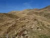 von der Lackneralm Richtung Gipfel Hohe Nase