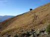 von der Lackneralm Richtung Gipfel Hohe Nase