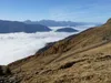 von der Lackneralm Richtung Gipfel Hohe Nase bei Almhütte Blick Richtung SW