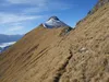 vom Gipfel Hohe Nase Richtung Gipfel Zellinkopf