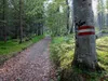 vom Gailbergsattel zur Mitterkeilhütte