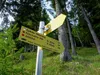 von Mitterkeilhütte zur Marktalm