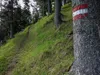 von Mitterkeilhütte zur Marktalm