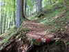 von Mitterkeilhütte zur Marktalm