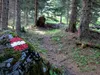 von Marktalm zur Kötschacher Ochsenalm