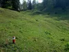 von Marktalm zur Kötschacher Ochsenalm