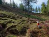 von Marktalm zur Kötschacher Ochsenalm