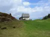 Kötschacher Ochsenalm