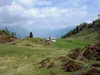 von Kötschacher Ochsenalm zum Gipfel Jukbichl Blick zurück