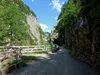 durch die Daberklamm
