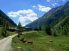 durch das Dorfertal bei Rumesoi-Eben Blick zurück