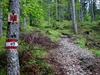 Aufstieg Richtung Kerschbaumeralm