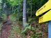 Aufstieg Richtung Kerschbaumeralm