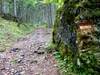 Aufstieg Richtung Kerschbaumeralm