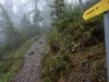 Aufstieg Richtung Kerschbaumeralm