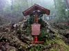 Aufstieg Richtung Kerschbaumeralm