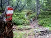 Aufstieg Richtung Kerschbaumeralm