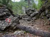 Aufstieg Richtung Kerschbaumeralm
