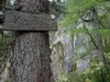 Aufstieg Richtung Kerschbaumeralm beim Klapffall