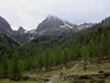 bei der Kerschbaumeralm Schutzhaus Blick Richtung Simonskopf