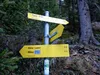 Aufstieg Richtung Wahler Lusene Mittaür Alm