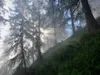 Aufstieg Richtung Wetterkreuz